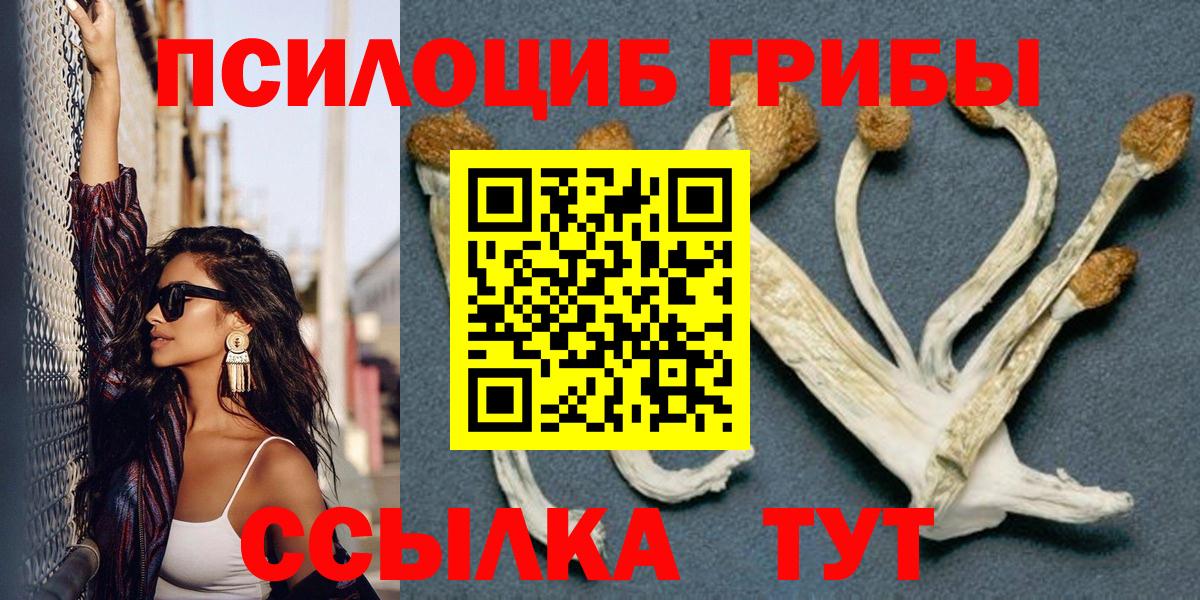 Галлюциногенные грибы GOLDEN TEACHER  Галлюциногенные грибы Psilocybe  Вход с VPN  купить  цена  Шебекино 