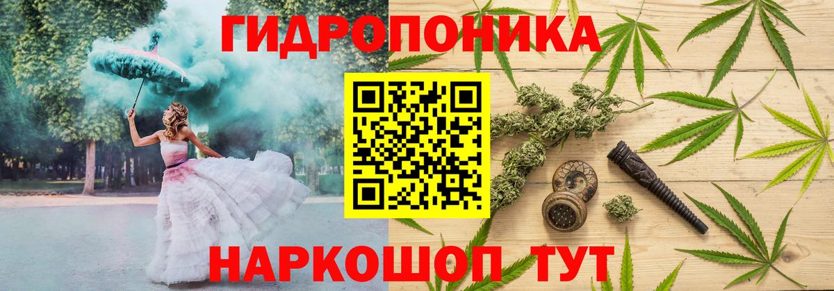Шебекино  Конопля планчик  Вход с VPN  МАРИХУАНА марихуана  Конопля план 